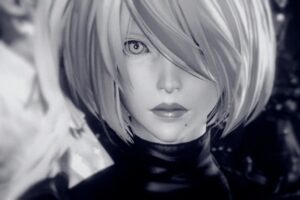 Nier: First [Ass]embly 2B小姐姐