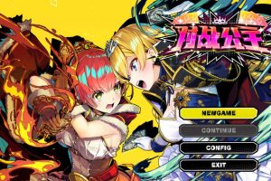 对战公主Duel Princess